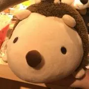 りわの画像