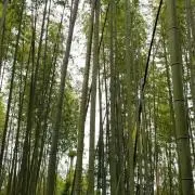 noteの画像