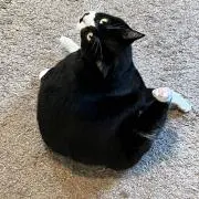 あいみ