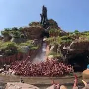 サム