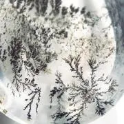 Sekiの画像