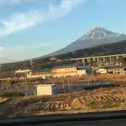 カメラツリー
