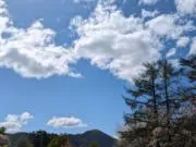 fuuの画像