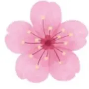 ハッパの画像