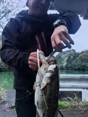 壱の画像