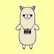 alpacaカメラの画像