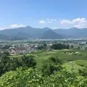 ゆらゆら