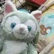 みきぽん