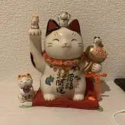 吉田の画像