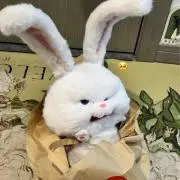 中上