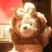 あひるの画像