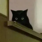 ひとみんの画像