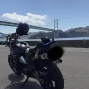 龍の画像