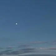 ロティの画像