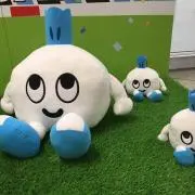 ぽん。