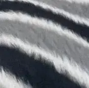 Mの画像