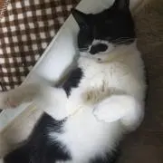 クライムの画像