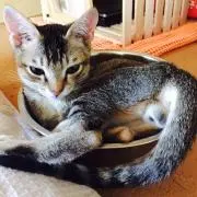 たらみちゃん