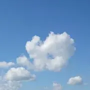 ◆マルタケ◆