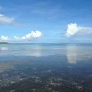yoshiの画像