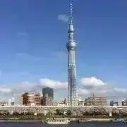 ゆっこ⭐︎800円商品まとめ値下げ中の画像