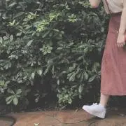 ラテの画像