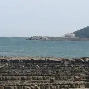 ⭐︎tama⭐︎の画像