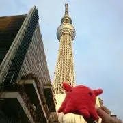 たらこパスタの画像