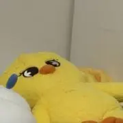 reikaの画像