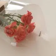 ぷてらのどんの画像