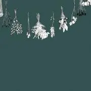草加の画像