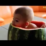 小豆