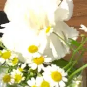 ☆mama☆