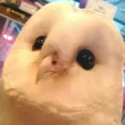 Ta