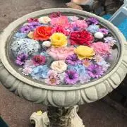 ナタリーの画像