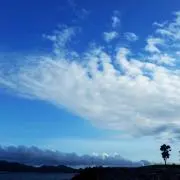 mの画像