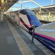 ハルゾーの画像