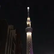 ローズマリーの画像