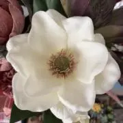 ハナハナの画像
