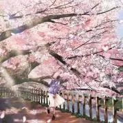 あかさの画像