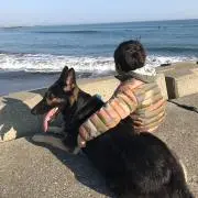 333♡の画像