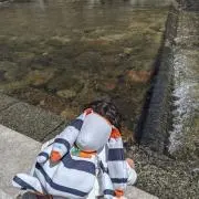mmsdf12の画像