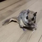 和の画像