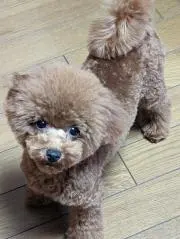 あっこー