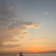 makoの画像