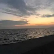 りんりん