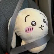 プルャの画像