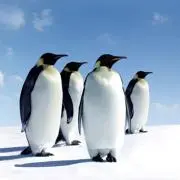 hink
