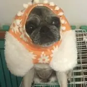 やだもぅは宇宙人の画像
