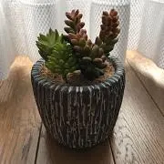 ゆり〜さ
